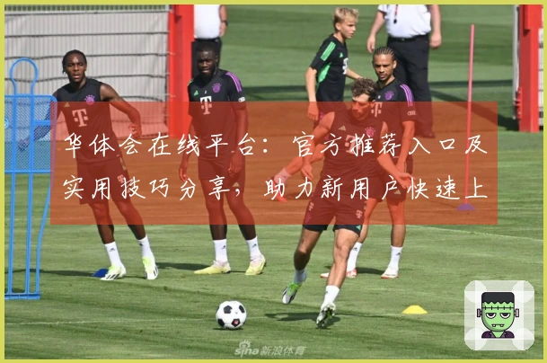 华体会在线平台：官方推荐入口及实用技巧分享，助力新用户快速上手体验